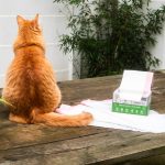 Tailhead Innovations offers 100% compostable cat litter tray liners