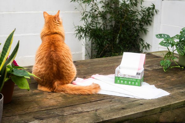 Tailhead Innovations offers 100% compostable cat litter tray liners