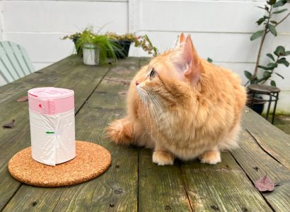 Compostable Litter Box Liners