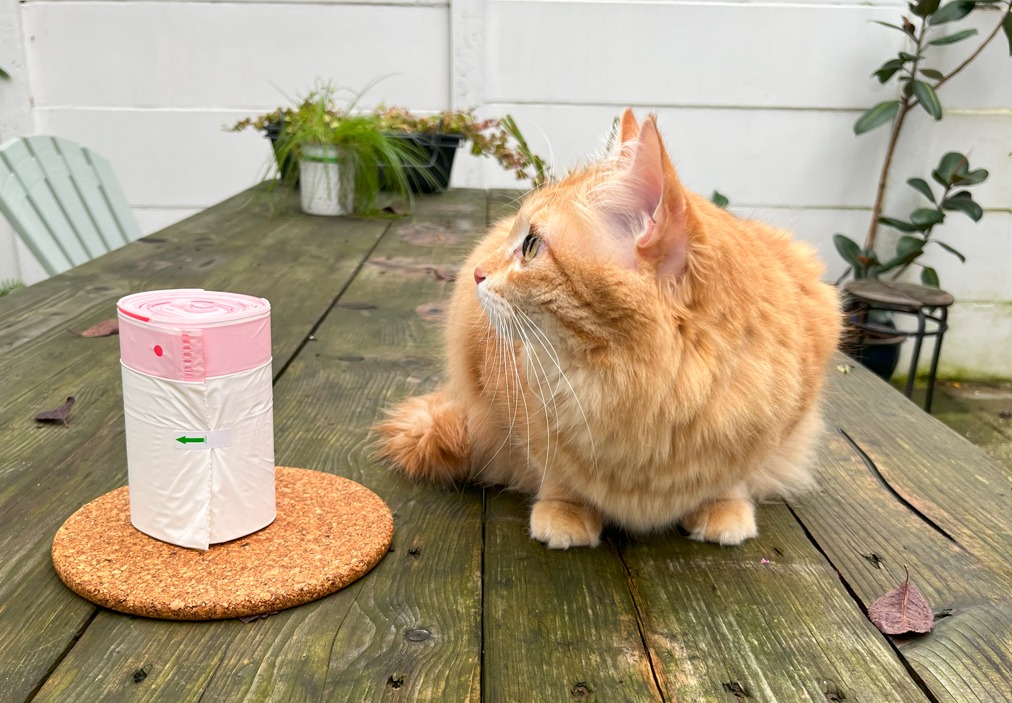 Compostable Litter Box Liners