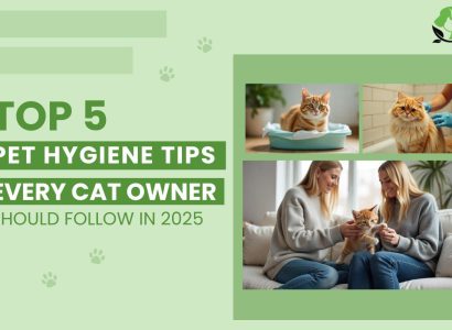 Top 5 Cat Hygiene Tips